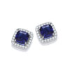 Micro Pave’ Blue Pricess Cut Cz Stud Earrings